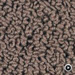 Moqueta Continua Tufted - Caprice